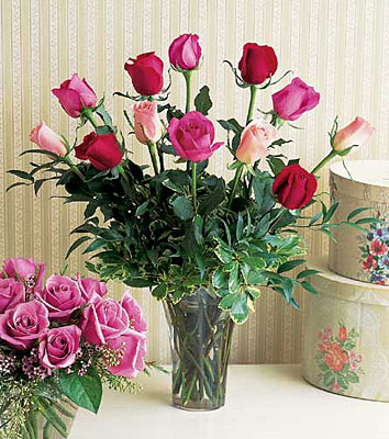 Mixed Beauties from Flowers All Over.com 
