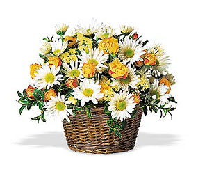 Sunshine In A Basket<b> from Flowers All Over.com 