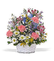 Sweet and Innocent<b> from Flowers All Over.com 