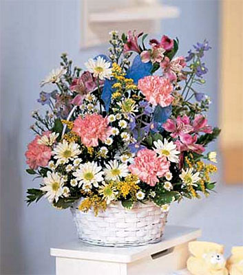 Sweet and Innocent<b> from Flowers All Over.com 