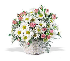 Baby Girl Basket<b> from Flowers All Over.com