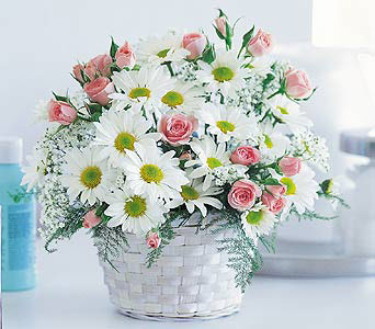 Baby Girl Basket<b> from Flowers All Over.com 