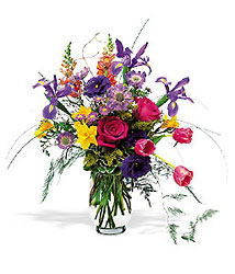 Springtime Delights<b> from Flowers All Over.com 