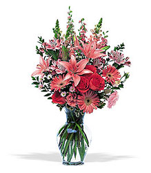 Blushing Pink<b> from Flowers All Over.com 