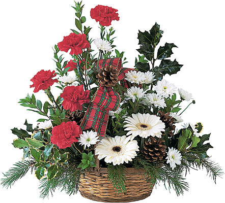 Winter Wonderland Basket<br>from Teleflora from Flowers All Over.com 