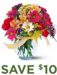 Bright & Bold<br><b>Same Day Delivery from Flowers All Over.com 