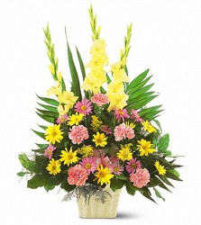 Colors of Serenity<br><b>FREE DELIVERY from Flowers All Over.com