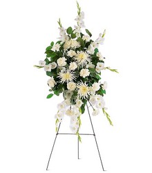 Purity<br><b>FREE DELIVERY from Flowers All Over.com
