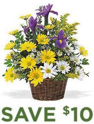 Teleflora's<br>Just a little something<b> from Flowers All Over.com 